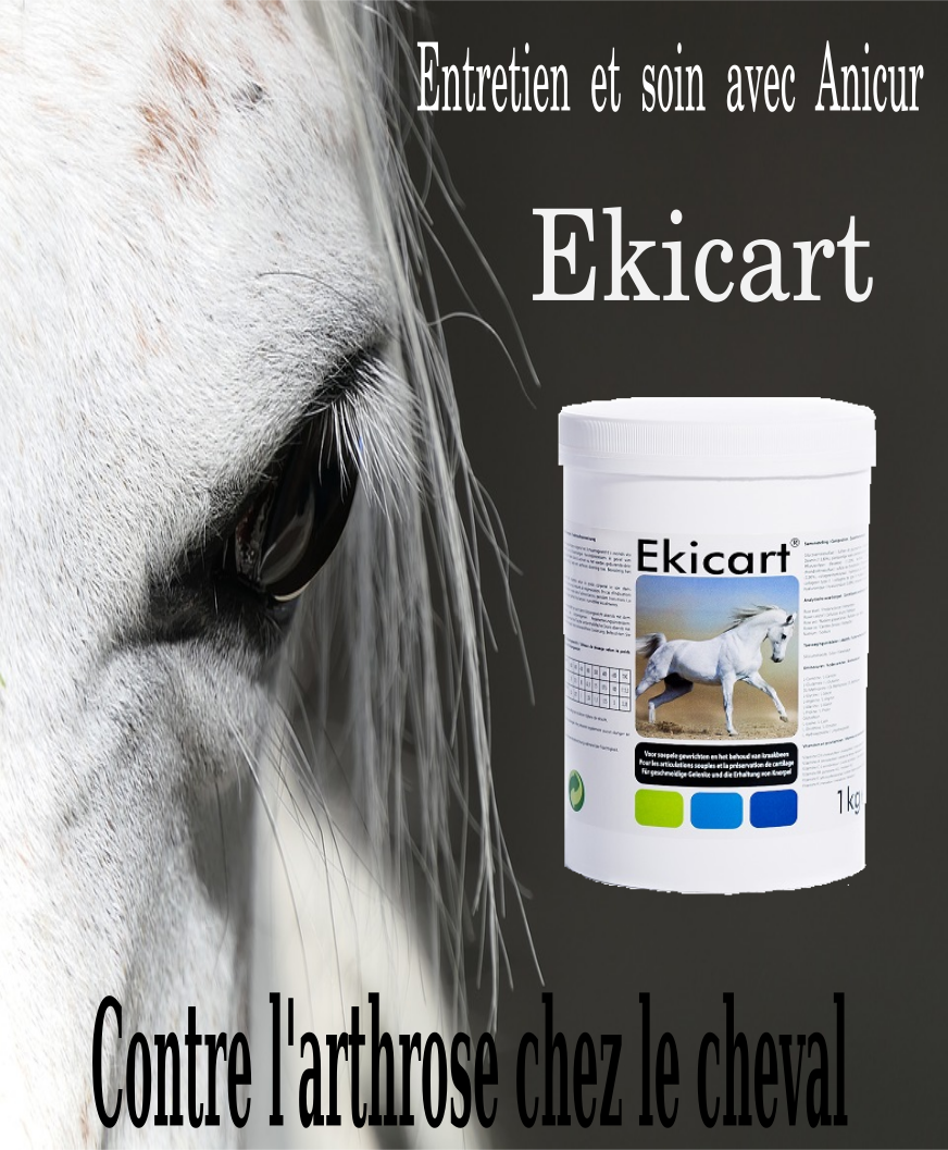 Ekicart 